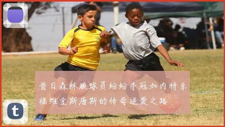 昔日森林狼球员纷纷夺冠加内特乐福维金斯唐斯的传奇逆袭之路